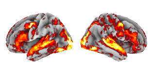 brain heatmap