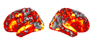 brain heatmap